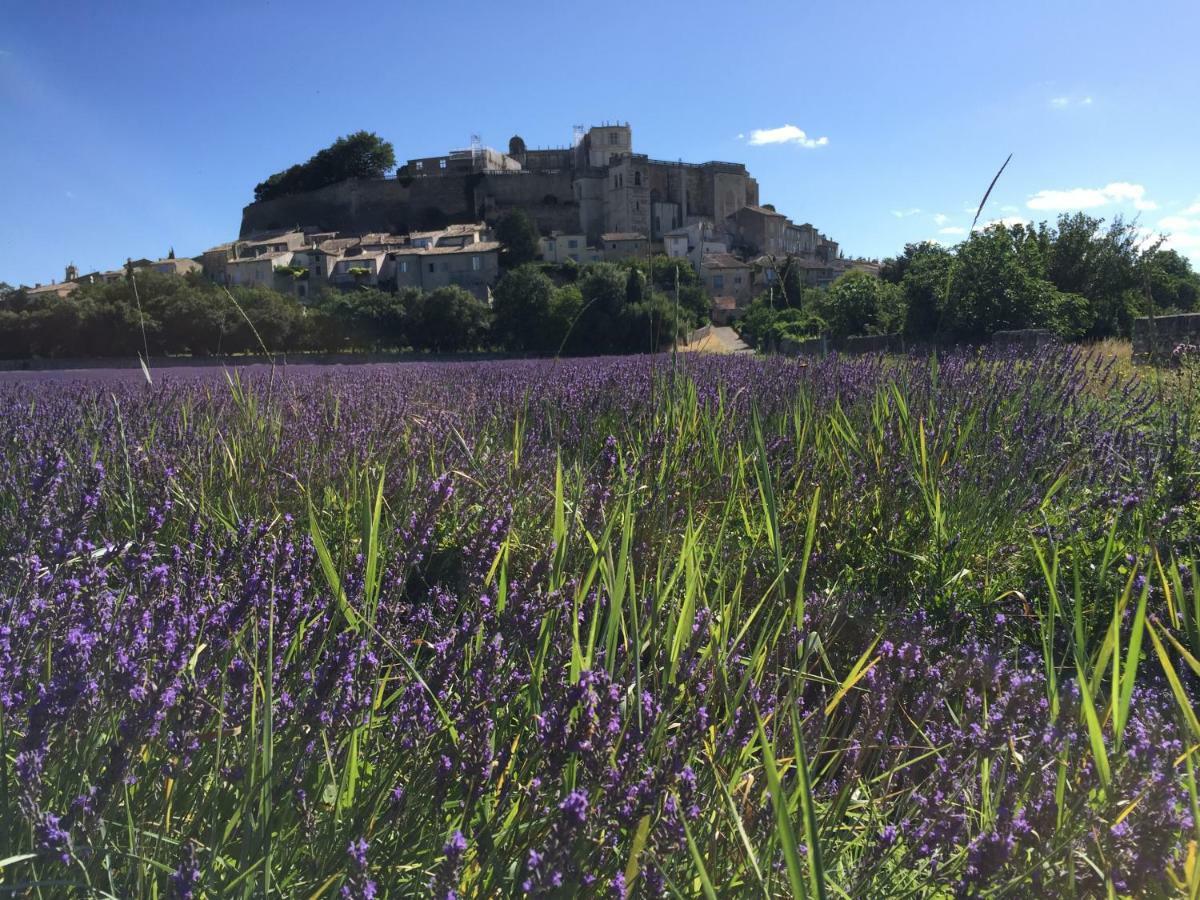 La Vie De Chateau Grignan Esterno foto